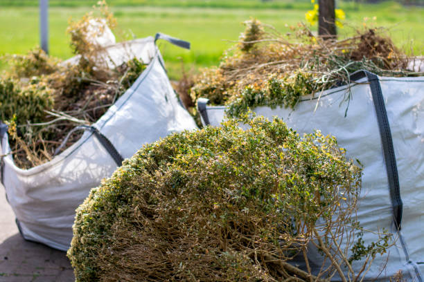 Best Recycling Services for Junk  in Mclendon Chisholm, TX